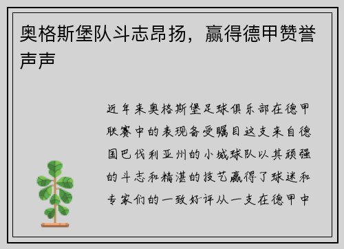 奥格斯堡队斗志昂扬，赢得德甲赞誉声声